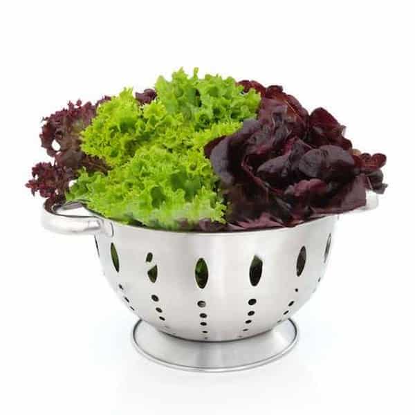 راهنمای خرید کاهو بنفش سالاد + قیمت عالی